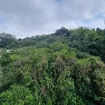 Apartamento Espacoso Em Laranjeiras, Rua Do Cristo Redentor