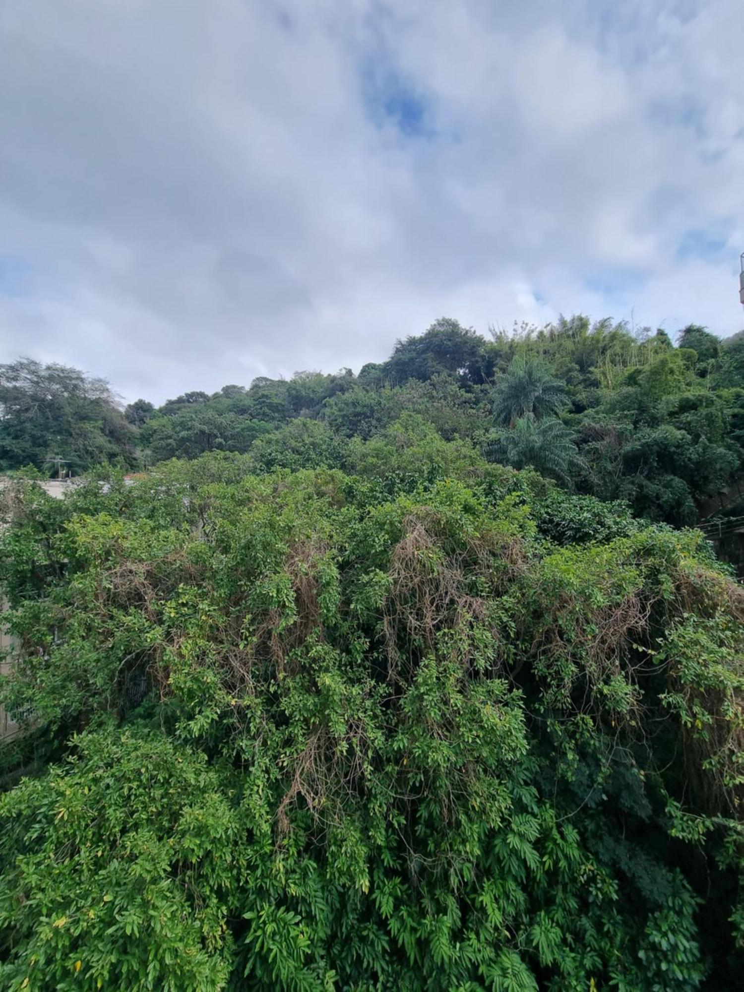 Apartamento Espacoso Em Laranjeiras, Rua Do Cristo Redentor *